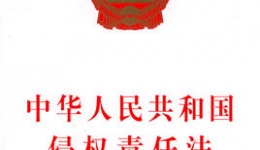 中华人民共和国侵权责任法 （法律）