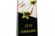 乔岗  2019优秀眼科医师奖奖杯