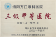 “三甲”赋能，万江高质量发展续写新篇