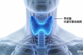 “生命油門(mén)”體檢指南：你的甲狀腺是勻速，還是狂飆or熄火？