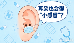 耳朵也會(huì)得“小感冒”？這些信號和預(yù)防招趕緊記好！